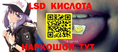 ПСИЛОЦИБИНОВЫЕ ГРИБЫ Можга