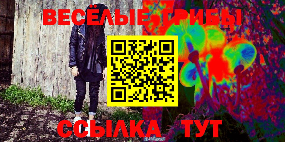 Шатура  Галлюциногенные грибы ЛСД  Вход с VPN  Галлюциногенные грибы Psilocybe 
