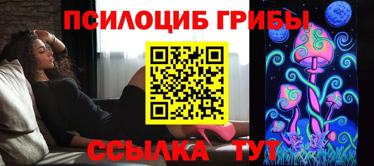 Псилоцибиновые грибы Cubensis Шатура