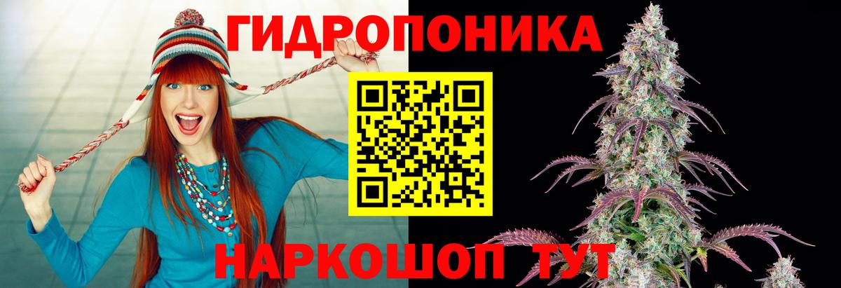 Бошки марихуана семена Шатура